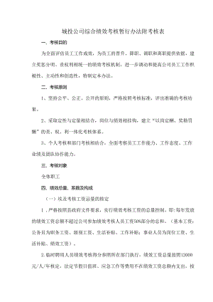 城投公司综合绩效考核暂行办法附考核表.docx