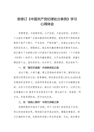 2024新修订中国共产党纪律处分条例六项纪律心得体会交流发言18篇.docx