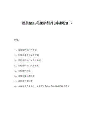 医美整形医院渠道营销筹建规划书.docx