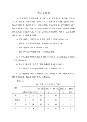 劳动力安排计划.docx
