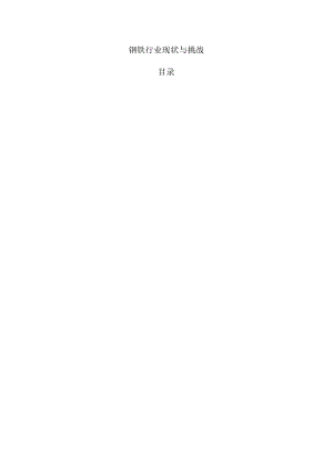 钢铁行业现状与挑战.docx