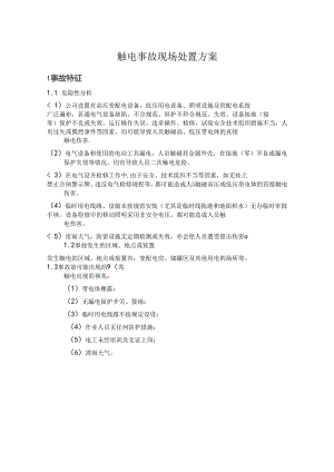 触电事故现场处置方案范文.docx