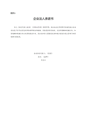 企业法人承诺书.docx