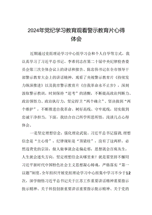 党员干部关于2024年党纪学习教育观看警示教育片的心得体会十二篇.docx