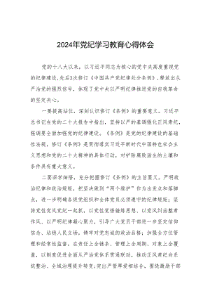 2024党纪学习教育学习贯彻新修订中国共产党纪律处分条例的心得体会二十八篇.docx