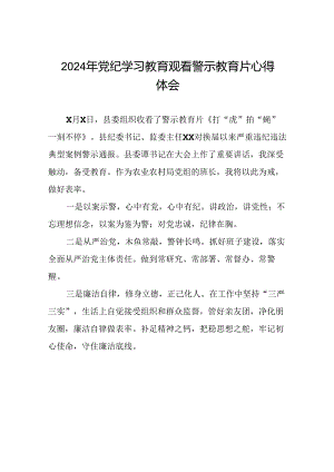 党员干部2024年党纪学习教育观看警示教育片优秀心得体会13篇.docx