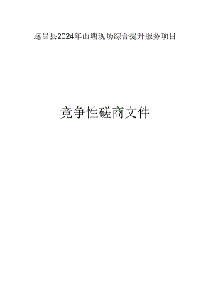 山塘现场综合提升服务项目招标文件.docx