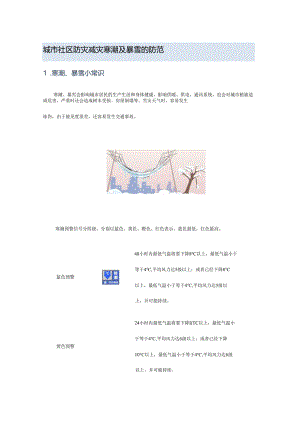 城市社区防灾减灾寒潮及暴雪的防范.docx