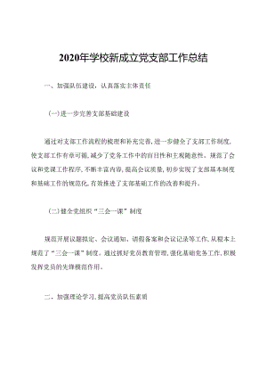 2020年学校新成立党支部工作总结.docx