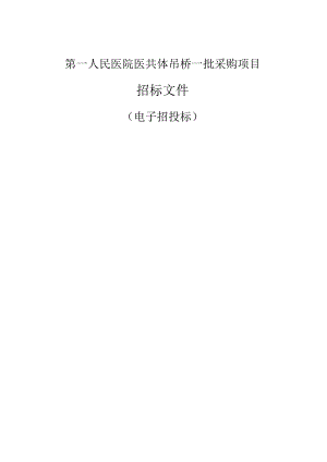 医院医共体吊桥一批项目招标文件.docx