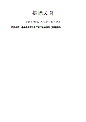 水库发电厂运行维护项目（重新招标）招标文件.docx