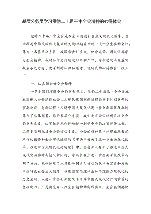 基层公务员学习贯彻二十届三中全会精神的心得体会研讨发言.docx