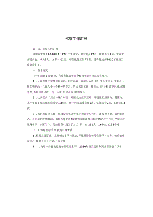 巡察工作汇报.docx