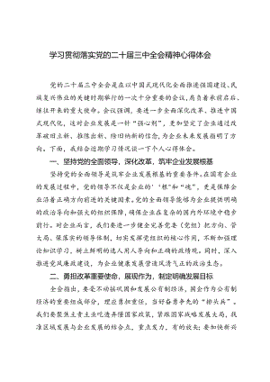 2篇 学习贯彻落实党的二十届三中全会精神心得体会.docx