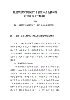 （10篇）基层干部学习贯彻二十届三中全会精神的研讨发言（详细版）.docx