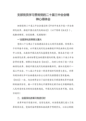 支部党员学习贯彻党的二十届三中全会精神心得体会.docx