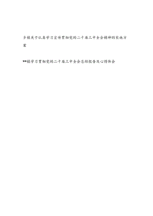 乡镇关于认真学习宣传贯彻党的二十届三中全会公报精神的实施方案和总结报告.docx