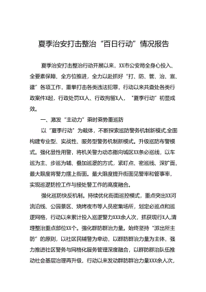 2024年公安推动夏季治安打击整治行动的情况报告(十四篇).docx
