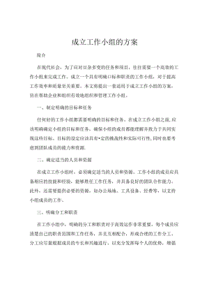 成立工作小组的方案.docx