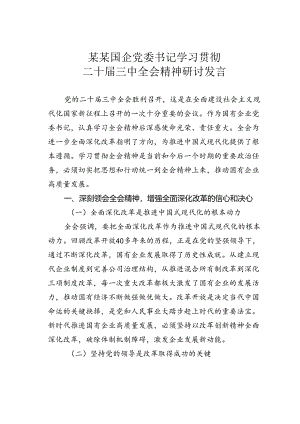 某某国企党委书记学习贯彻二十届三中全会精神研讨发言.docx