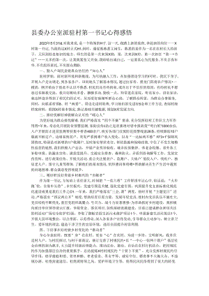 县委办公室派驻村第一书记心得感悟.docx
