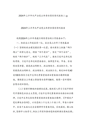2024年上半年从严治党主体责任落实情况报告二篇.docx