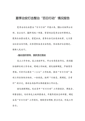 2024年夏季治安打击整治“百日行动”专项总结十四篇.docx