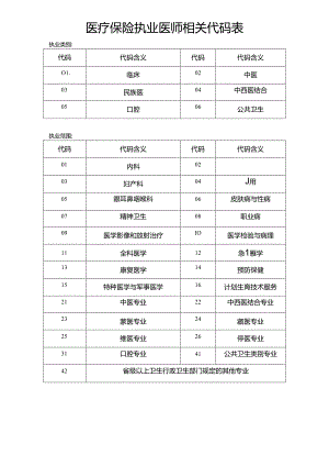 医疗保险执业医师相关代码表.docx