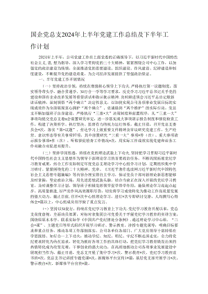 国企党总支2024年上半年党建工作总结及下半年工作计划.docx