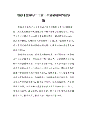 检察干警学习二十届三中全会精神体会感悟.docx