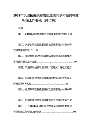 2024年巩固拓展脱贫攻坚成果同乡村振兴有效衔接工作要点【12篇】.docx