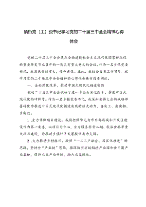 5篇 2024年镇街党（工）委书记学习党的二十届三中全会精神心得体会.docx