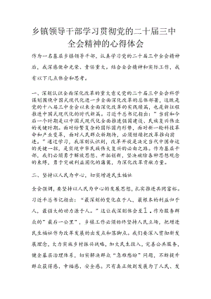 乡镇领导干部学习贯彻党的二十届三中全会精神的心得体会.docx