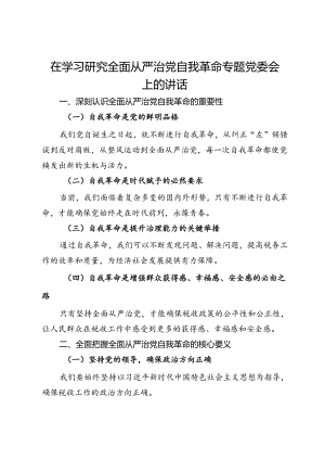在学习研究全面从严治党自我革命专题党委会上的讲话.docx
