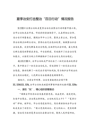 2024年公安机关夏季治安打击整治行动情况报告(十一篇).docx