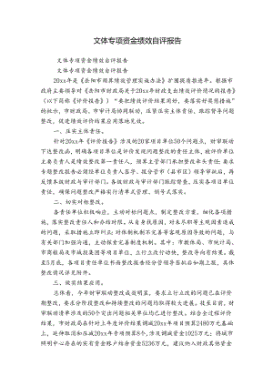 文体专项资金绩效自评报告.docx