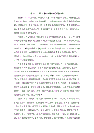 学习二十届三中全会精神心得体会03.docx