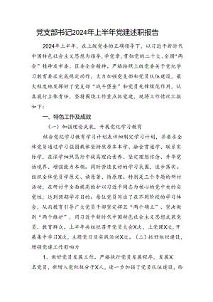 党支部书记2024年上半年党建述职报告.docx