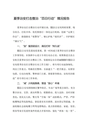 公安推进夏季治安打击整治行动情况汇报十篇.docx
