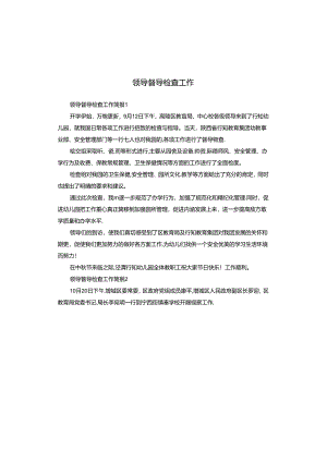 领导督导检查工作.docx