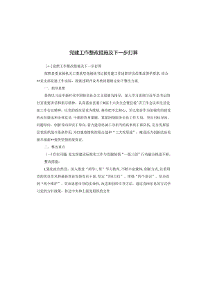 党建工作整改措施及下一步打算.docx