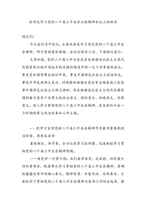 在全市(区县)传达学习党的二十届三中全会公报精神会议上的讲话发言提纲.docx