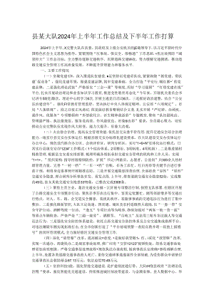 县某大队2024年上半年工作总结及下半年工作打算.docx
