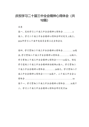 （12篇）庆祝学习二十届三中全会精神心得体会范文.docx