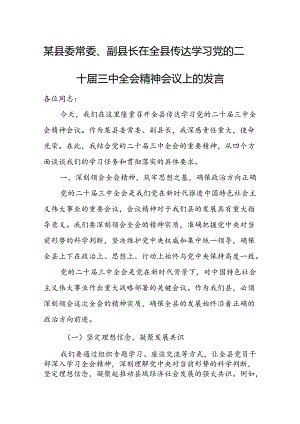 某县委常委、副县长在全县传达学习党的二十届三中全会精神会议上的发言.docx