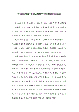 公司中层领导干部警示教育交流研讨发言提纲两篇.docx