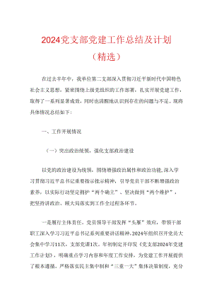 2024党支部党建工作总结及计划（精选）.docx