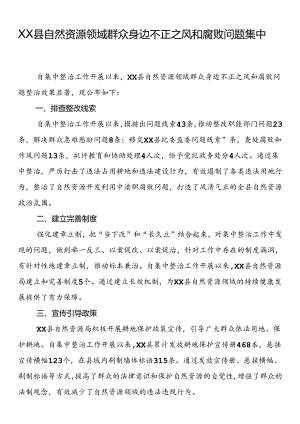 县自然资源领域群众身边不正之风和腐败问题集中整治成果.docx