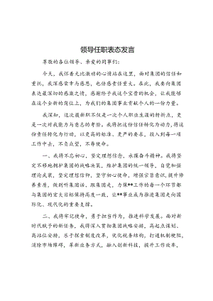 领导任职表态发言.docx