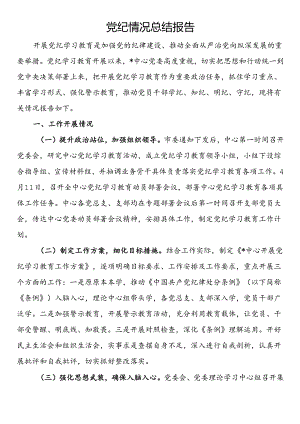 党纪情况总结报告.docx
